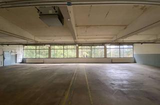 Gewerbeimmobilie mieten in 36396 Steinau, Universelle Gewerbeflächen zu vermieten!
