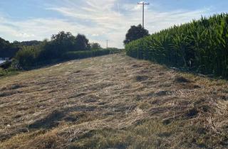 Grundstück zu kaufen in 86558 Hohenwart, HIER KLICKEN: Baugrundstück mit bereits genehmigtem Bauantrag in ruhiger Traumlage!