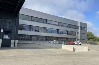 Büro zu mieten in Bergheimer Str., 88677 Markdorf, Ca. 600 qm Büro im 2. OG Vollklimatisiert - genügend Parkplätze