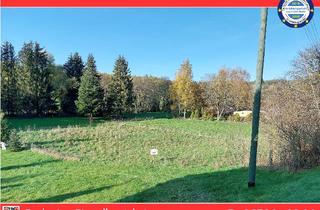 Grundstück zu kaufen in 55758 Sienhachenbach, Großes idyllisch gelegenes Grundstück im Tal
