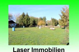 Haus kaufen in 38559 Wagenhoff, Wagenhoff: Reiterhof mit EFH - GS 4750 m², Wfl.: 185m² - 13 Einstellplätze, beleuchteter Reitplatz