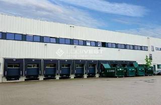 Gewerbeimmobilie mieten in 52428 Jülich, Ca. 8.200 - 18.600 m² WGK3-Logistikfläche