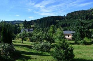Grundstück zu kaufen in 07356 Bad Lobenstein, Ruhe und traumhafter Ausblick