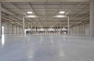 Gewerbeimmobilie mieten in 52445 Titz, Neubau | Rampe | ebenerdig | WGK3