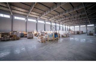 Gewerbeimmobilie mieten in 76698 Ubstadt-Weiher, Hochwertige Lager-/ Produktionsfläche zu vermieten!