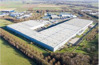 Gewerbeimmobilie mieten in 27404 Heeslingen, "BAUMÜLLER AG" - ca. 70.000 qm Neubau Halle - ebenerdig + Rampe!