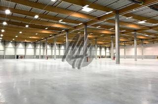 Büro zu mieten in 64579 Gernsheim, NEUBAU / ERSTBEZUG ✓ Lager-/Logistik (15.000 m²) & Büro-/Sozial (400 m²)