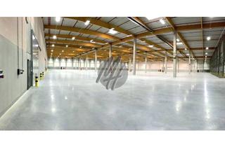 Büro zu mieten in 52445 Titz, NEUBAU / ERSTBEZUG ✓ Lager-/Logistik (11.000 m²) & Büro-/Sozial (300 m²)