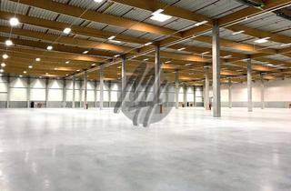 Büro zu mieten in 52445 Titz, NEUBAU / ERSTBEZUG ✓ Lager-/Logistik (9.000 m²) & Büro-/Sozial (350 m²)