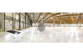 Büro zu mieten in 52445 Titz, NEUBAU / ERSTBEZUG ✓ Lager-/Logistik (20.000 m²) & Büro-/Sozial (650 m²)