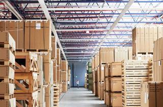 Büro zu mieten in Pfälzer Ring, 68766 Hockenheim, *PROVISIONSFREI* Lager / -Produktionsimmobilie mit Büro -und Serviceflächen