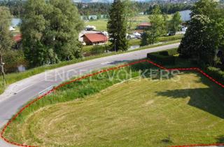 Grundstück zu kaufen in 86983 Lechbruck, Baugrundstück in Seenähe