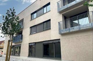 Gewerbeimmobilie kaufen in 71384 Weinstadt, Arbeiten mitten in Beutelsbach!