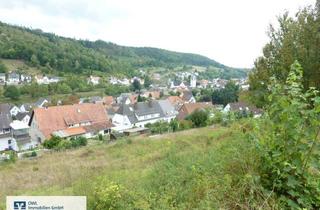 Grundstück zu kaufen in 37688 Beverungen, Baugrundstück mit Weitblick