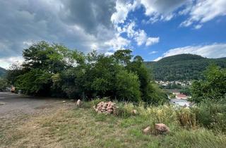 Grundstück zu kaufen in 67466 Lambrecht, Großes Baugrundstück (1500 m²) über den Dächern von Lambrecht