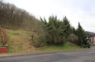 Grundstück zu kaufen in 55743 Idar-Oberstein, Schöner Ausbilck und ruhige Lage zugleich.