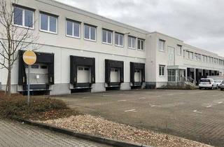 Gewerbeimmobilie mieten in 63128 Dietzenbach, Produktionsflächen, provisionsfrei & kurzfristig in Dietzenbach