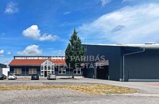 Büro zu mieten in 06847 Alten, Produktionshalle mit Bürogebäude zu vermieten
