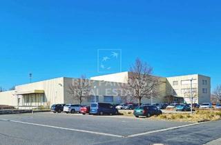 Gewerbeimmobilie mieten in 04720 Großweitzschen, Ehemaliges Kühllager an der BAB 14 sucht neuen Mieter