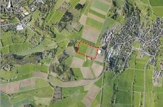 Gewerbeimmobilie kaufen in 63688 Gedern, Frei beplanbares Gewerbegrundstück in Gedern Ober-Seemen
