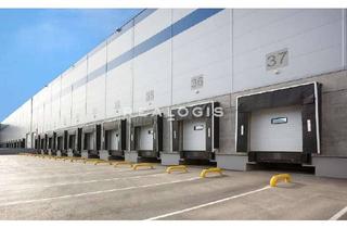 Gewerbeimmobilie mieten in 64560 Riedstadt, Ca. 10.000 qm Lager / Logistik | Rampe & ebenerdig | Ca. 12,20 m UKB