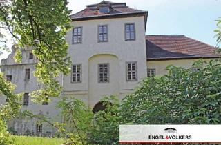 Haus kaufen in 39221 Welsleben, Werden Sie zum Schlossherren!