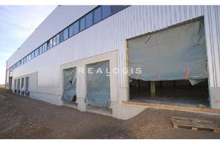 Gewerbeimmobilie mieten in 92263 Ebermannsdorf, Ebermannsdorf, ca. 15.000 m² Produktionshalle im Neubau zu vermieten