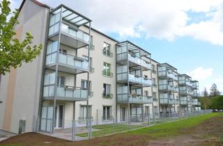 Wohnung mieten in Karl-Marx-Straße 1-15, 06526 Sangerhausen, Wir sanieren für Sie! Große 2-Raumwohnung im modernen Stil
