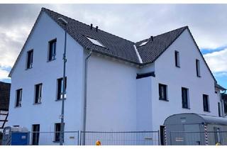 Wohnung mieten in 64584 Biebesheim am Rhein, Tolle Neubauwohnung in Biebesheim !