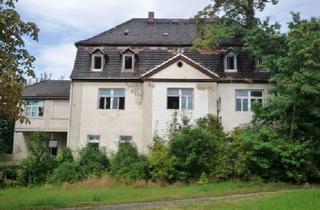 Mehrfamilienhaus kaufen in 04539 Groitzsch, Ehemaliges Herrenhaus mit Denkmalschutz