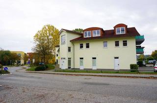 Wohnung kaufen in 17258 Feldberger Seenlandschaft, 7 Eigentumswohnungen in einem Wohn-/Geschäftshaus zu verkaufen