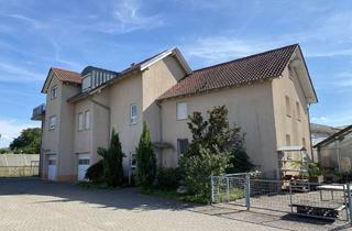 Haus kaufen in 75031 Eppingen, Feldrandlage - Zwei Häuser auf großem Gärtnereigrundstück