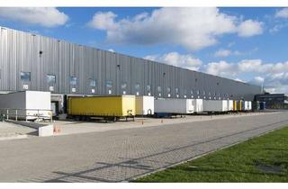 Gewerbeimmobilie mieten in 77866 Rheinau, Ca. 15.000 qm Lager / Logistik | Rampe & ebenerdig | ca. 12,00 m UKB