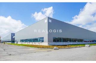 Gewerbeimmobilie mieten in 69126 Rohrbach, Provisionsfrei:Ca. 15.000 qm Produktionsfläche | Rampe und ebenerdig | Ca 12,00 m UKB