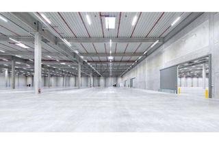 Gewerbeimmobilie mieten in 16816 Neuruppin, "BAUMÜLLER AG" - ca. 37.000 m² Neubau Hallenfläche - hervorragende Anbindung an BAB !