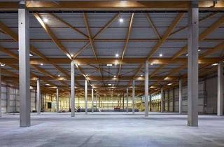 Gewerbeimmobilie mieten in 56841 Traben-Trarbach, "BAUMÜLLER AG" - ca. 20.000 m² Neubau Hallenfläche - ebenerdige und Rampenandienung !