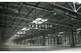 Gewerbeimmobilie mieten in 68526 Ladenburg, NEUBAU: ca. 5.000 qm Lager-/ Logistik-/ Produktion | Rampe & ebenerdig | ca. 7,00 - 10,00 m UKB