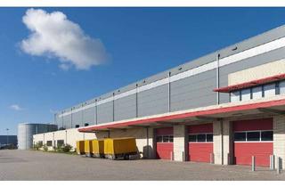 Gewerbeimmobilie mieten in 65474 Bischofsheim, Ca. 2.100 qm hochwertige Lager-/Produktionsflächen | ca. 11,50 m UKB | ebenerdig