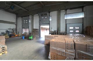 Gewerbeimmobilie mieten in 76287 Rheinstetten, "BAUMÜLLER AG" - Nähe A5 - Rampe/ebenerdig - ca. 15.000 m² Hallenfläche - sofort verfügbar