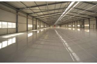 Büro zu mieten in 68766 Hockenheim, "BAUMÜLLER AG" 9.000 m² Halle + 1.000 m² Büro