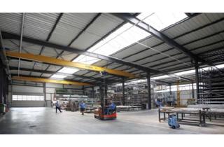 Gewerbeimmobilie mieten in 68642 Bürstadt, "BAUMÜLLER AG" ca. 7.000 qm Hallenfläche - ebenerdige Andienung