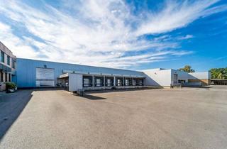 Gewerbeimmobilie mieten in 48231 Warendorf, Warendorf || ca. 2.510 m² Hallenfläche mit Sozialbereich || 4 Rampentore + 1 Rolltor