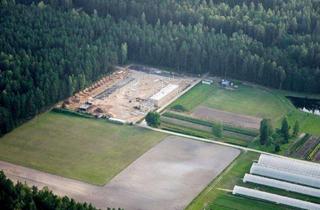 Büro zu mieten in 68649 Groß-Rohrheim, Projektierte Hallen- und Büroflächen in verkehrsgünstiger Lage - HR 4090