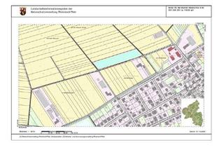 Grundstück zu kaufen in 55291 Saulheim, Kehlberg Immobilien Bauerwartungsland nähe Kindergarten