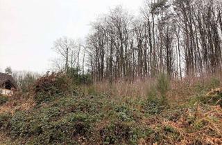 Grundstück zu kaufen in 57537 Forst, **Grundstück mit Hanglage mit wunderschöner Weitsicht**