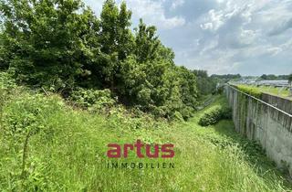 Grundstück zu kaufen in 95448 Laineck/Rodersberg/Friedrichsthal, Großes Baugrundstück in der Nähe vom Landesgartenschaugelände