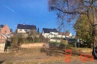 Grundstück zu kaufen in Pölsfelder Str., 06526 Sangerhausen, freigelegtes Grundstück - Lust auf einen Neubau ?