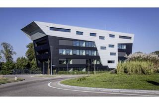 Büro zu mieten in 74196 Neuenstadt, Fullserviced Office in A-Lage (31-250QM)