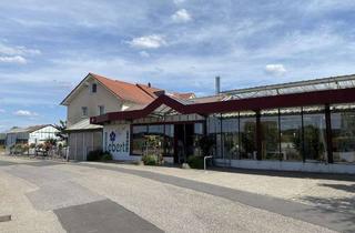 Gewerbeimmobilie kaufen in 75031 Eppingen, Feldrandlage - Zwei Häuser auf großem Gärtnereigrundstück