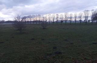 Gewerbeimmobilie kaufen in 27404 Zeven, Vielseitig nutzbares Gewerbegrundstück in frequentierter Lage von Zeven